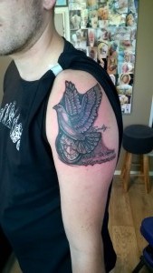 Dove shoulder